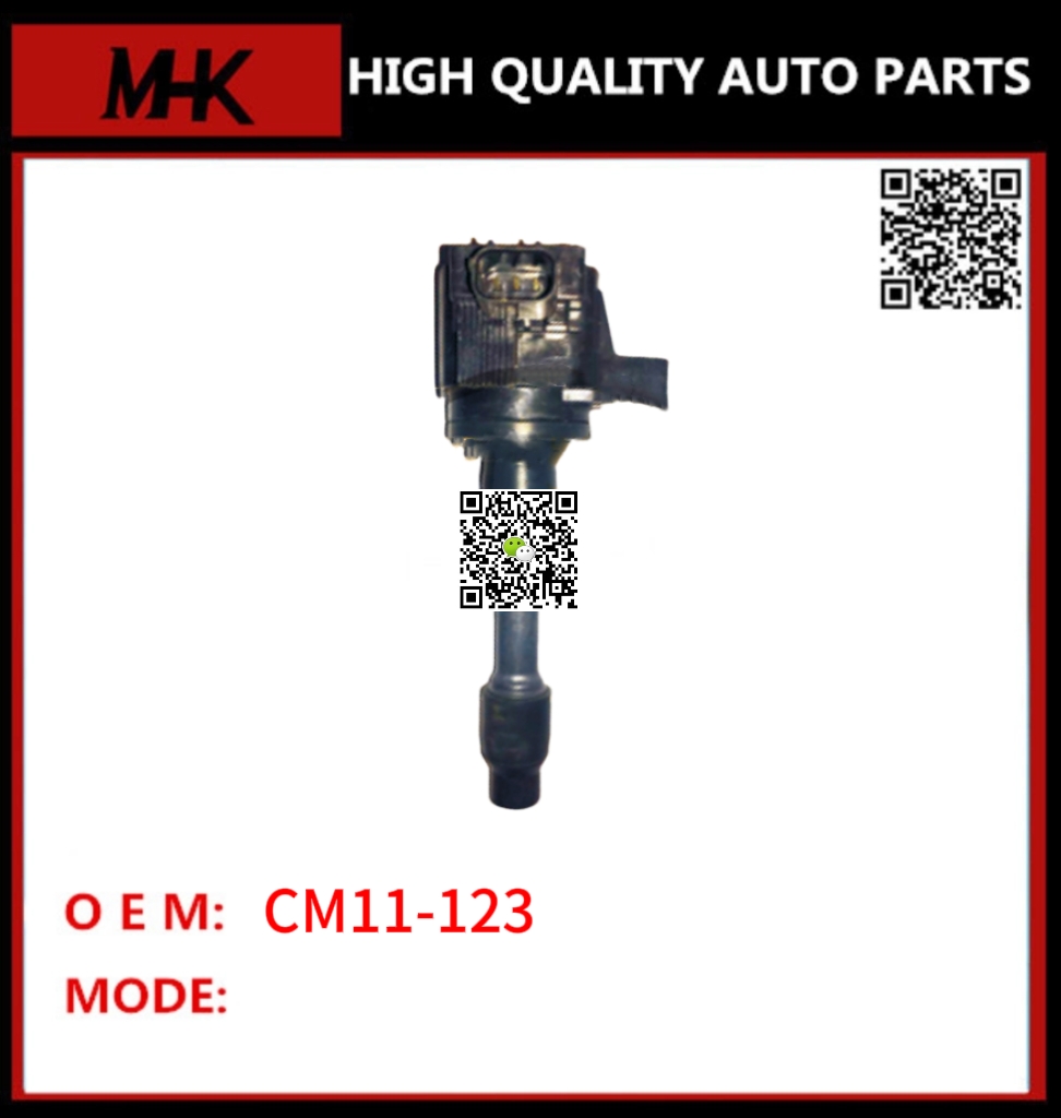 CM11-123
